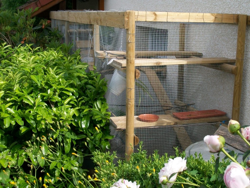 carousel/Catio extérieur au milieu des plantes